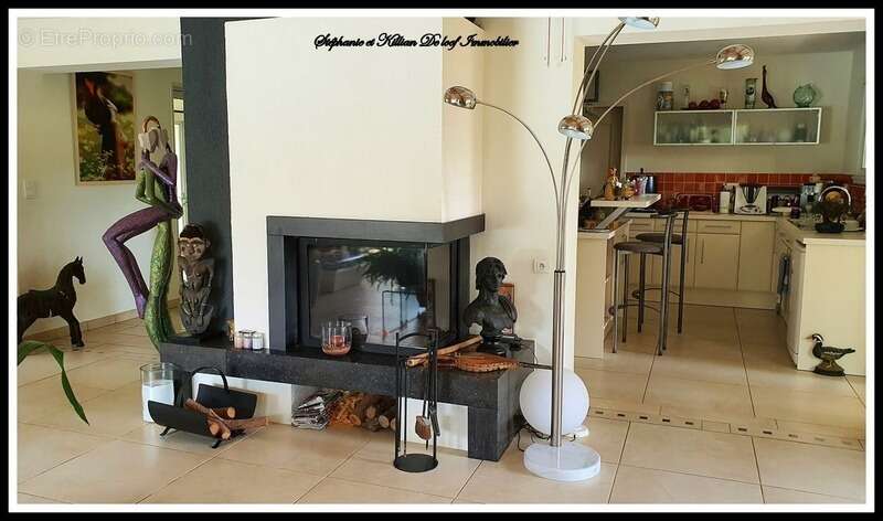 Villa de luxe à vendre 8 pièces LE GRAU D'AGDE de 326 m2 avec sous-sol de 150m2 (34) - photo 10