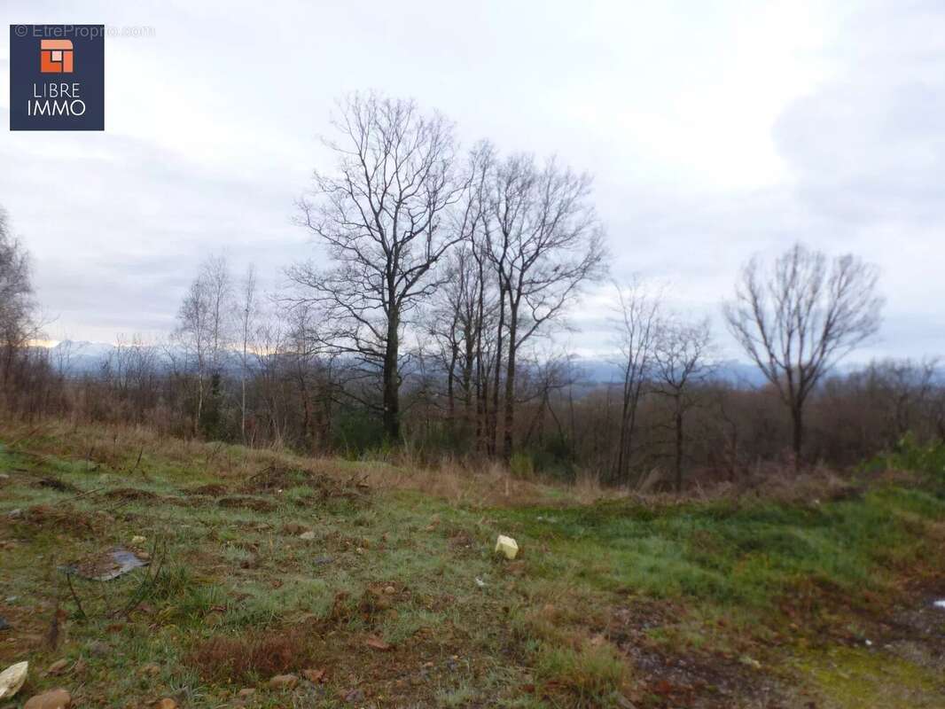 Terrain à SERRES-MORLAAS