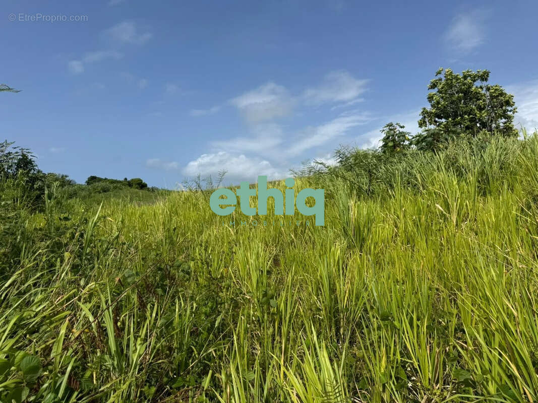 Terrain 500 m² à Capesterre-Belle-Eau  - photo 5