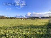 Terrain à PITHIVIERS