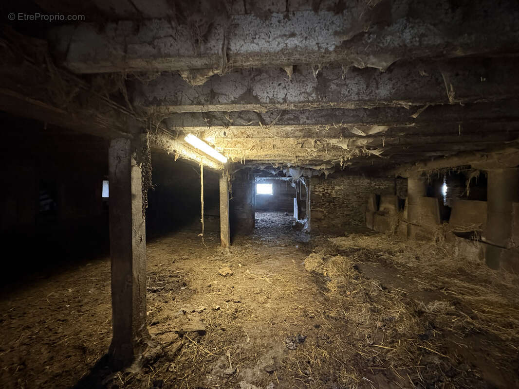 Maison à SAINTE-FEREOLE