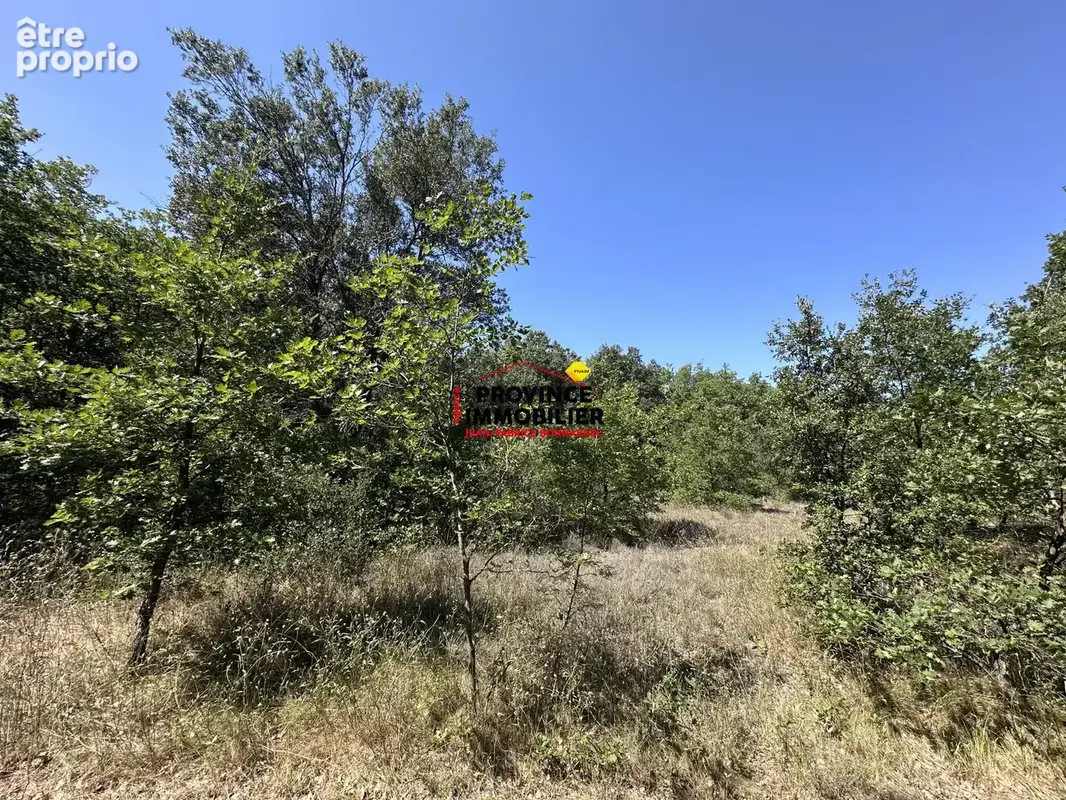 Terrain 12 485 m² à vendre à Grignan (26230) - photo 2