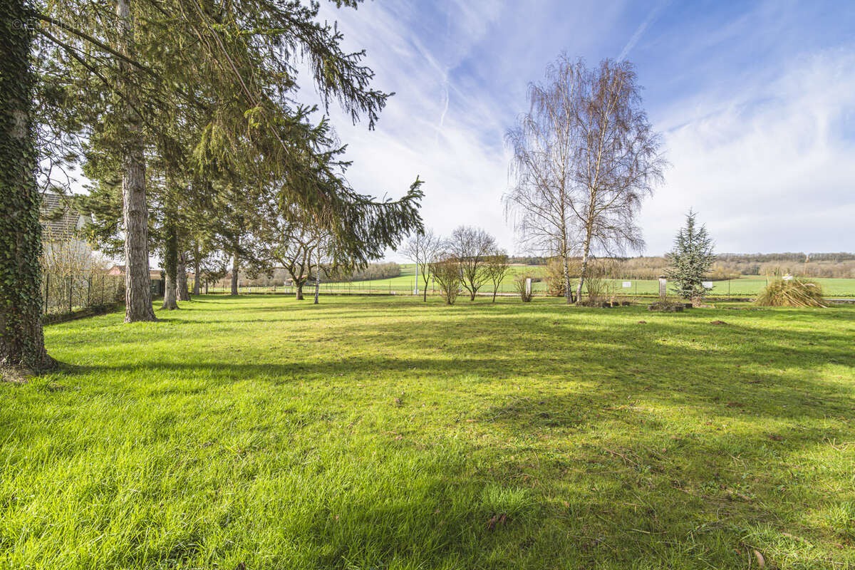 Terrain à COURLANDON