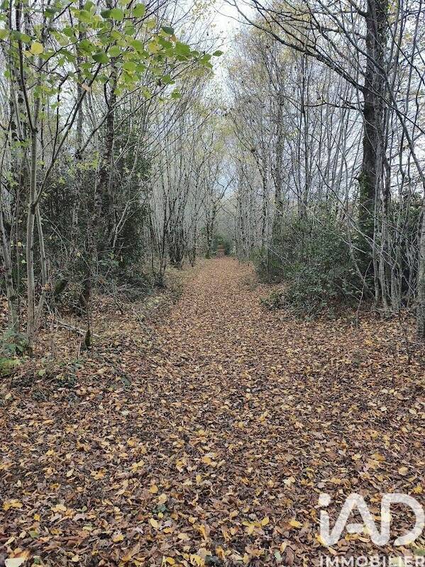 Photo 1 - Terrain à GAJOUBERT