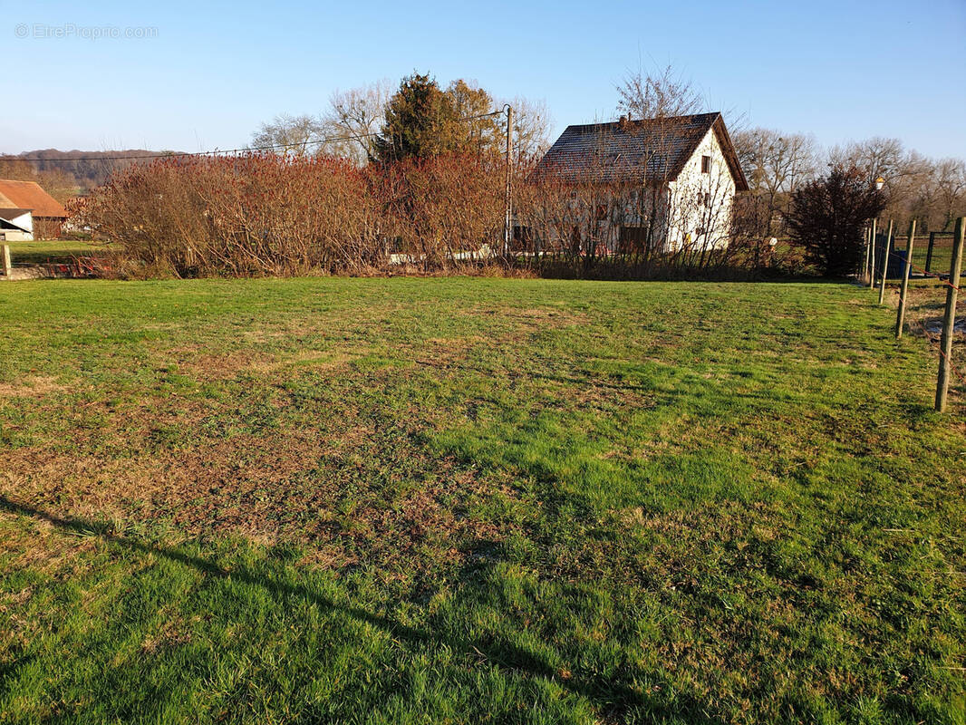 Terrain à OBERDORF