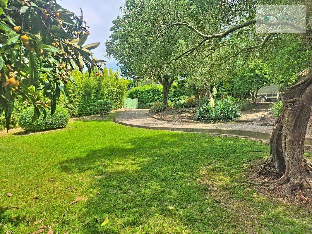 Propriété d'exception aux portes de Pézenas – Charme, volumes et panorama exceptionnel - photo 24