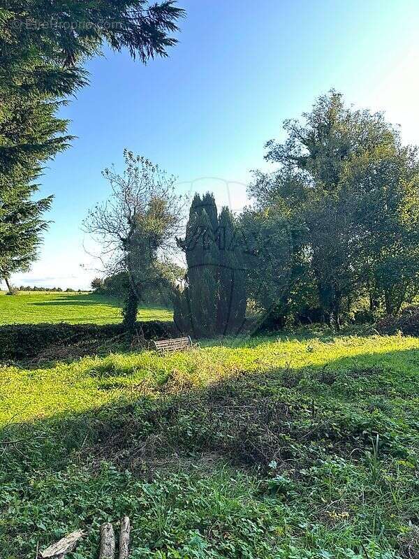 Maison 4 chambre(s) à vendre - photo 22