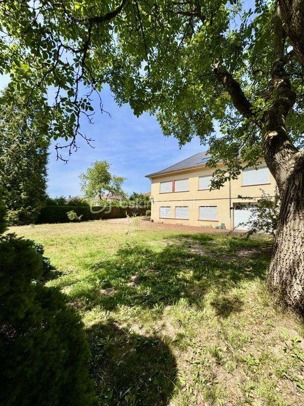  Sur les hauteurs de Creutzwald, en lisière de forêt – Maison familiale de 175 m² avec appartement indépendant et plus de 100 m² - photo 24