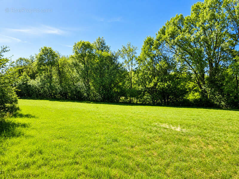 Terrain à CRESSENSAC