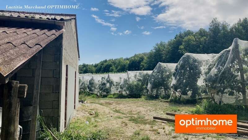 Terrain à MARQUIXANES