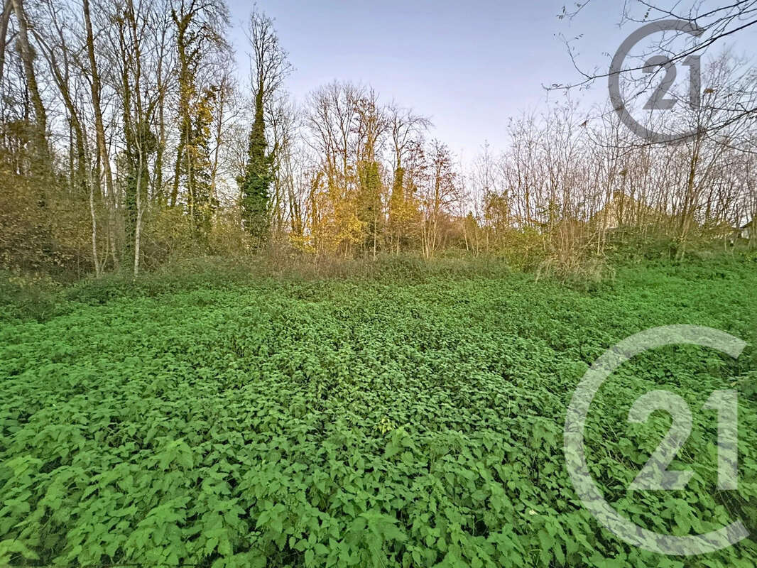 Terrain à CHALAUTRE-LA-PETITE