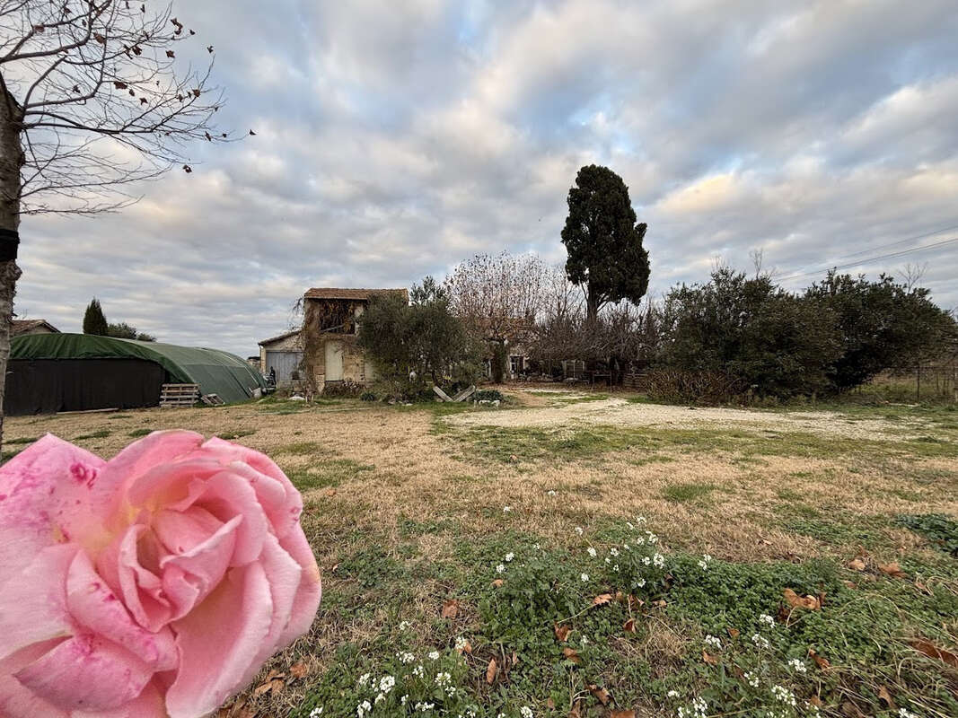 Maison à VALLABREGUES