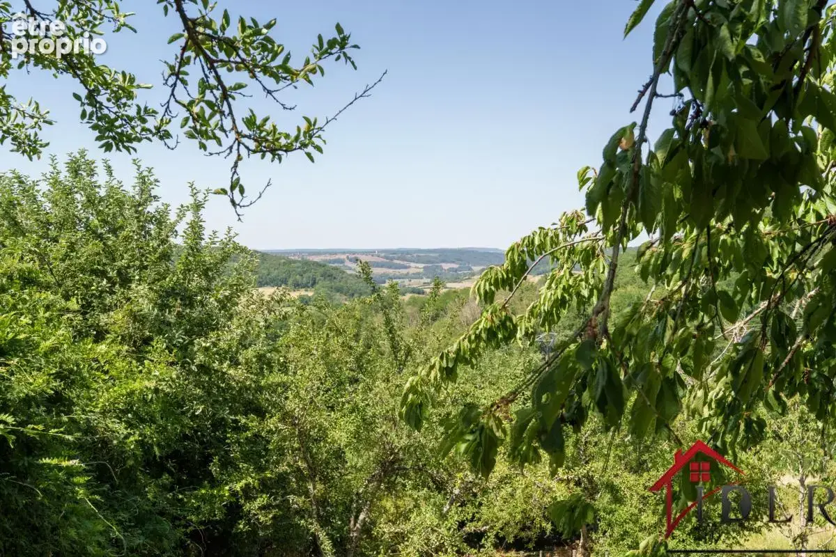 RARE   Maison de Village avec Vue et Potentiel à Coiffy-le- - photo 19