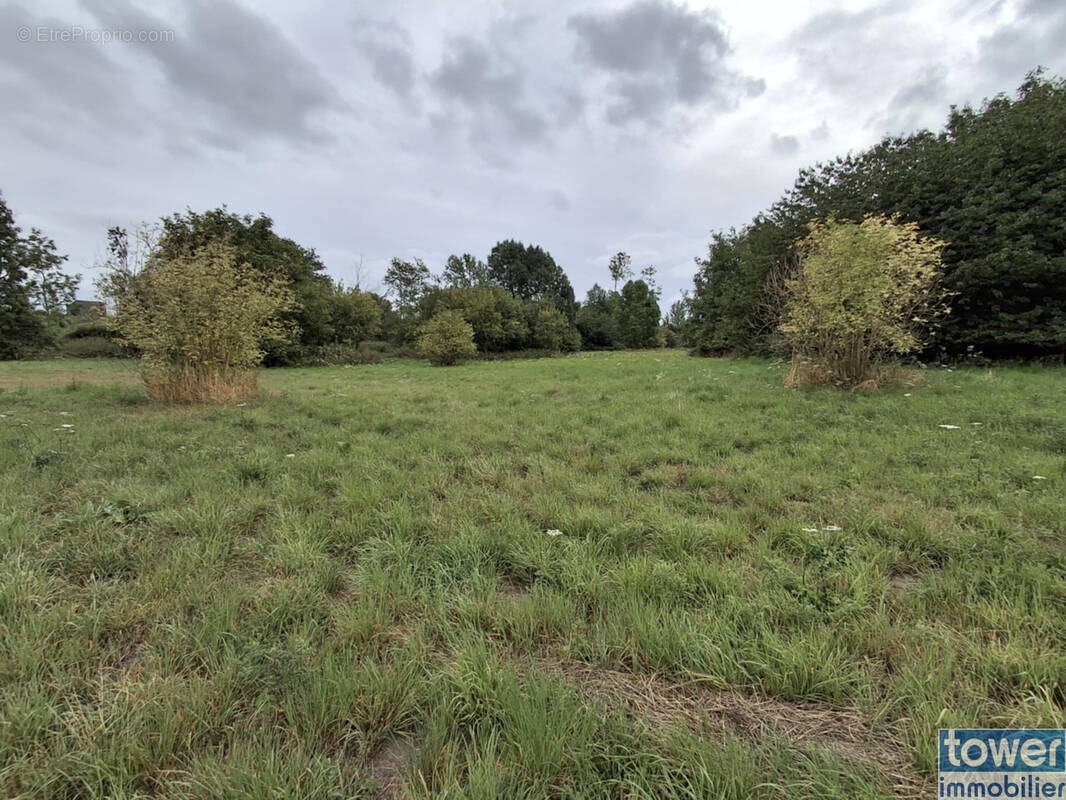 Terrain à SAINT-HILAIRE-COTTES