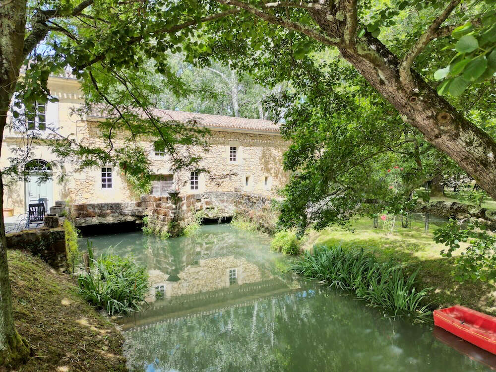 Manoir intemporel avec moulin médiéval - photo 17