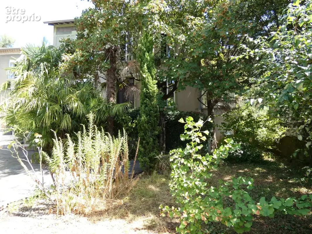 Alès, superbe maison de maître avec piscine à deux pas du centre ville. - photo 4