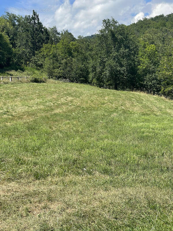 Terrain à PRATS-DE-MOLLO-LA-PRESTE