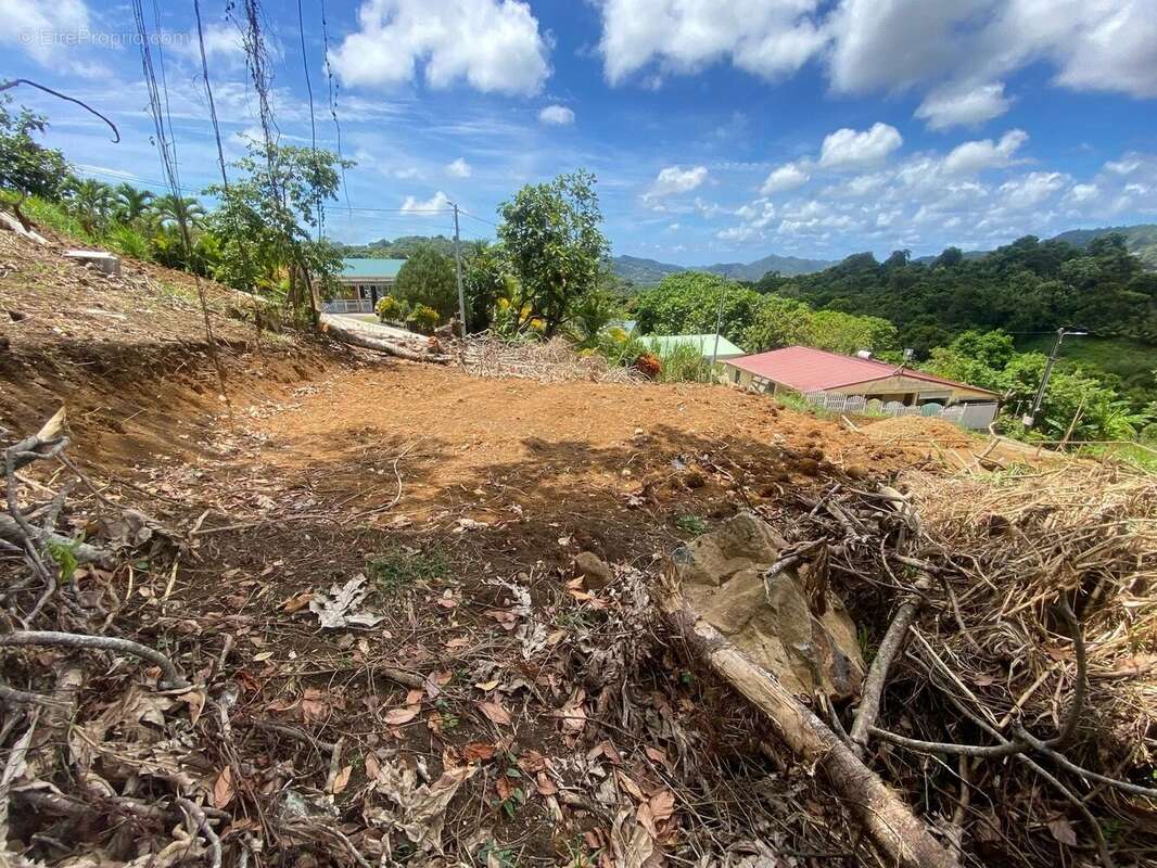 Terrain à LE VAUCLIN