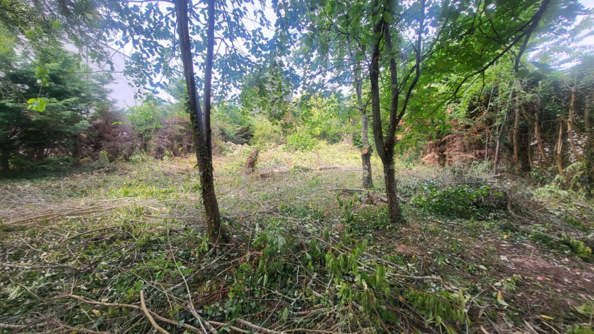 Terrain à SAMOREAU