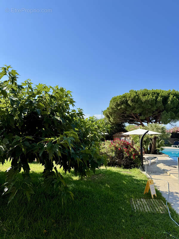 Appartement à PROPRIANO