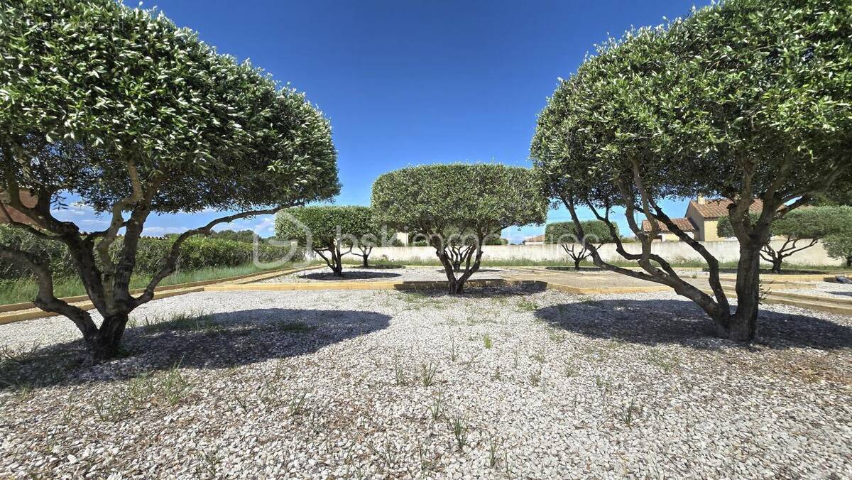 Terrain à CANET