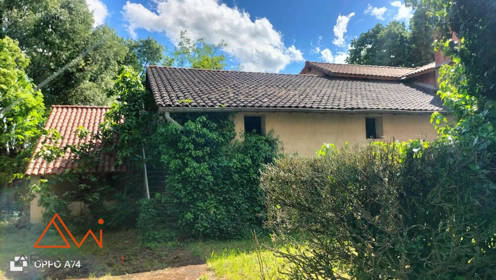Maison à GAILLAC
