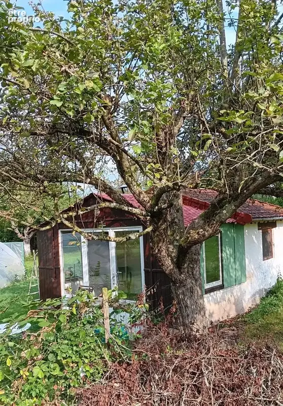 À vendre : maison de caractère avec B&B près d’Autun - photo 4