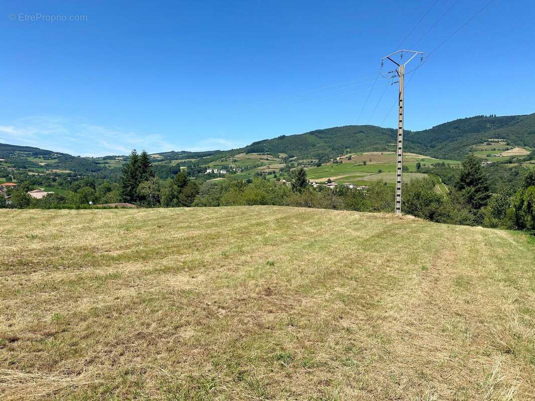 Terrain 1079 m² à Saint-Didier-Sur-Beaujeu  - photo 4