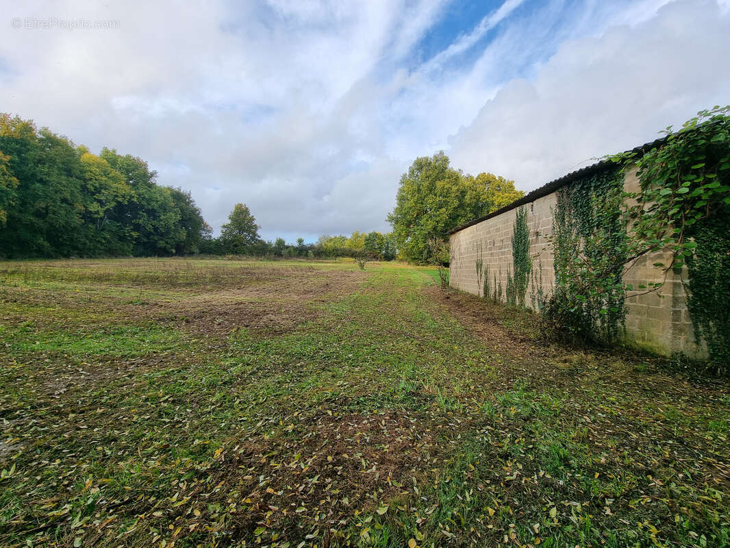 Terrain à VASLES