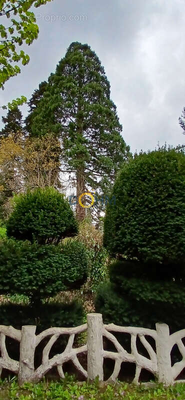 Maison à AMBERT