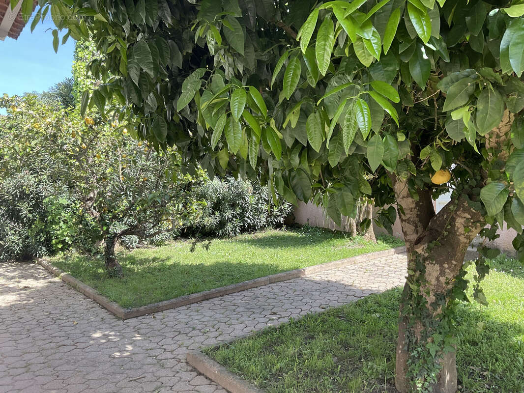 Maison à PRUNELLI-DI-FIUMORBO