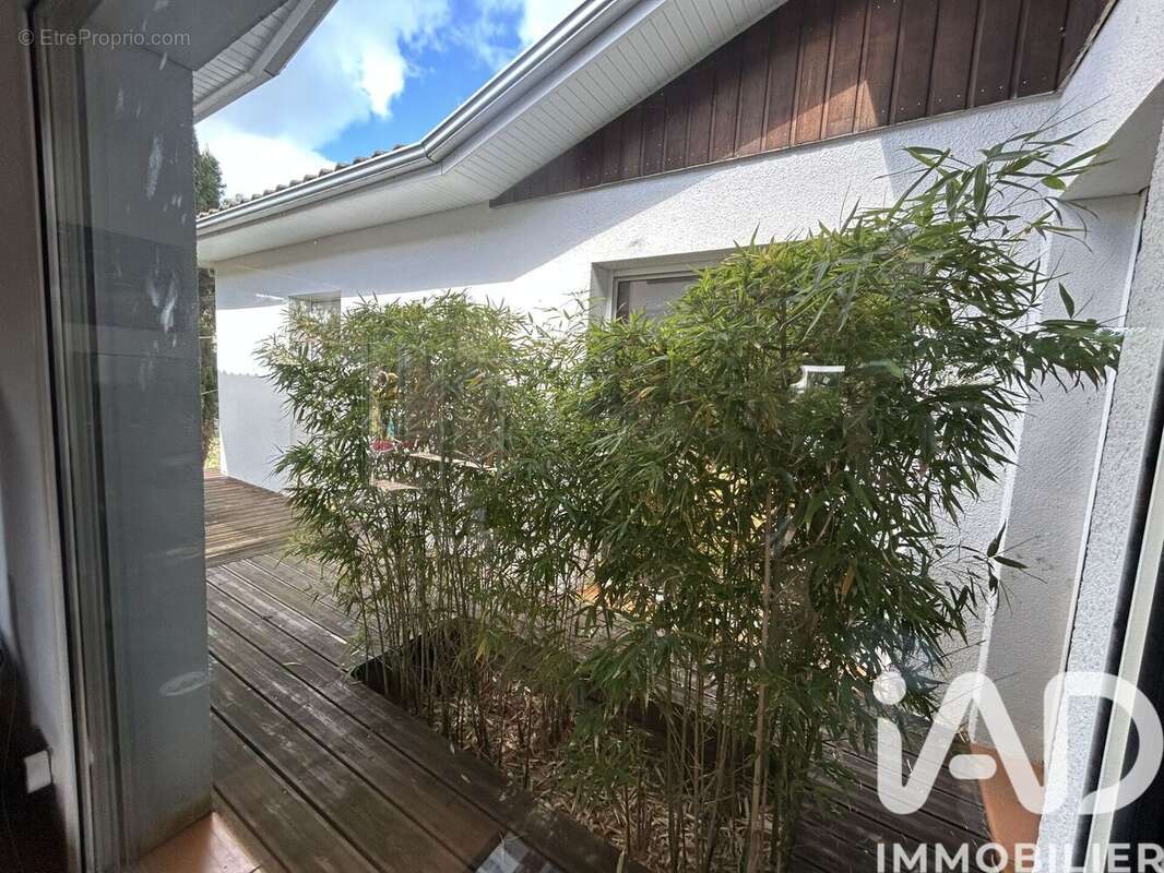 Photo 5 - Maison à VENDAYS-MONTALIVET