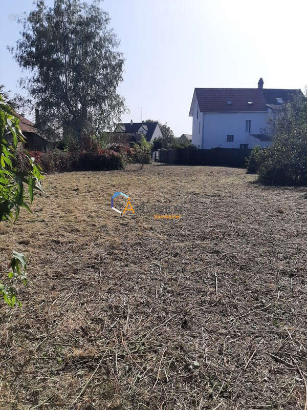 Terrain à BOISSY-LE-CHATEL