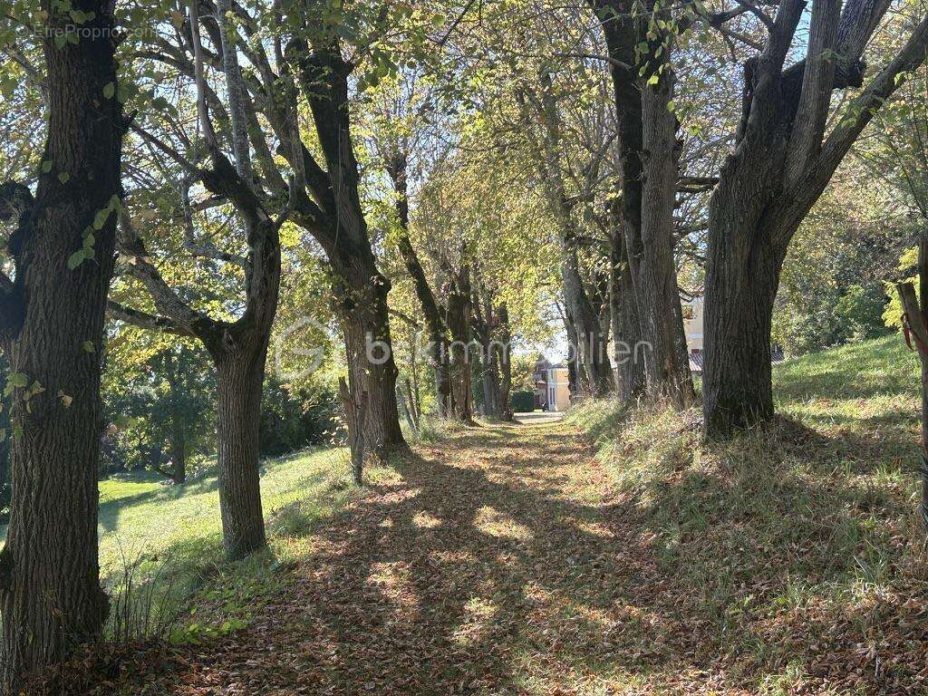 Château et sa maison de gardien - vue -terrain - piscine - dépendances - photo 2