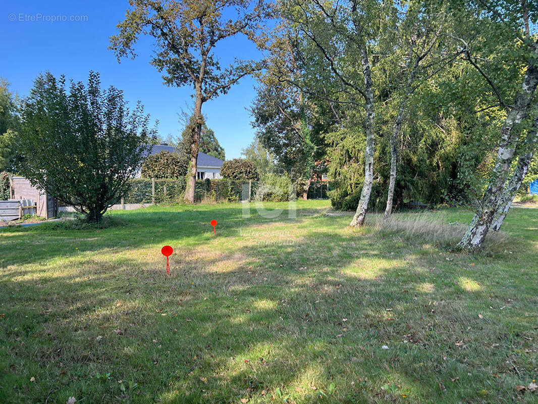 Terrain à LA CHAPELLE-SUR-ERDRE