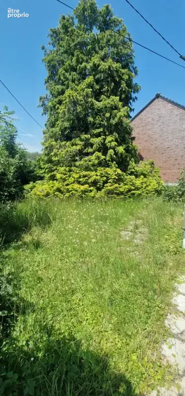 Terrain de 855 m2 avec maison de 45 m² et garage - photo 9