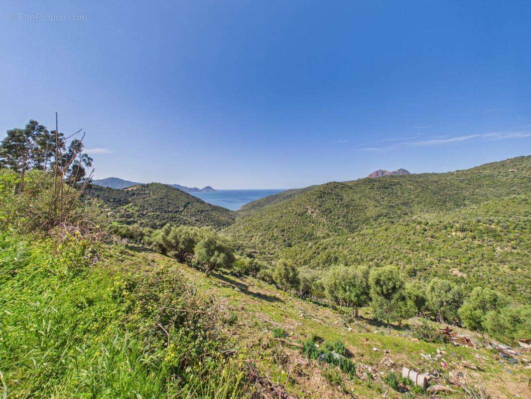 A vendre bas de villa vue mer avec jardin partinello - photo 7