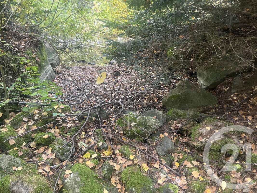 Terrain à BURDIGNES