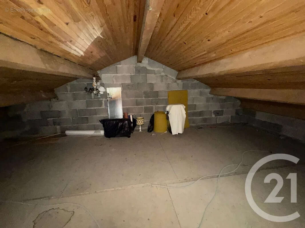 Maison 163 m² à Peaugres  - photo 12