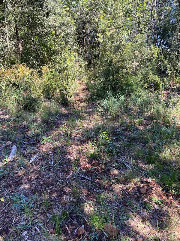 Terrain à ROQUEFORT-LES-PINS