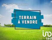 Photo 1 - Terrain à MAISONS-EN-CHAMPAGNE