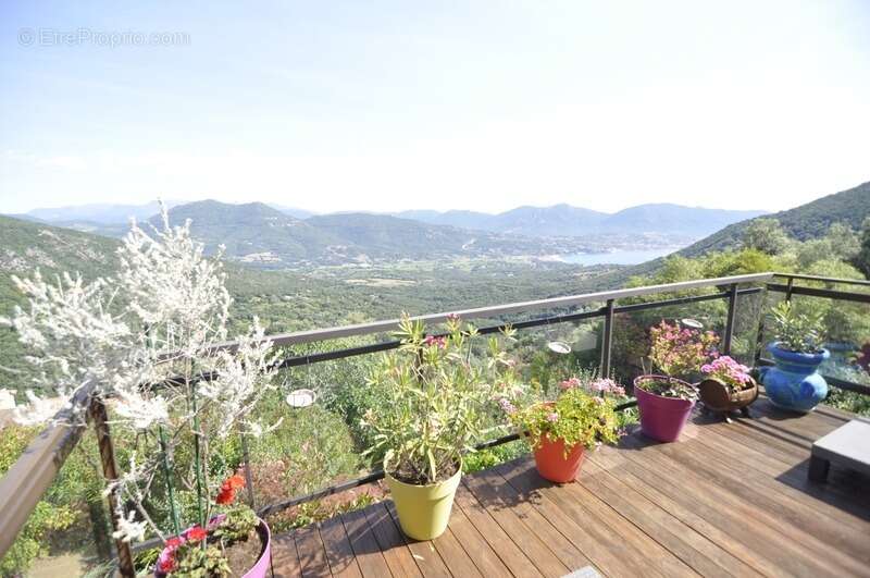 À vendre – Propriété avec maison et appartement indépendant à Olmeto - photo 8