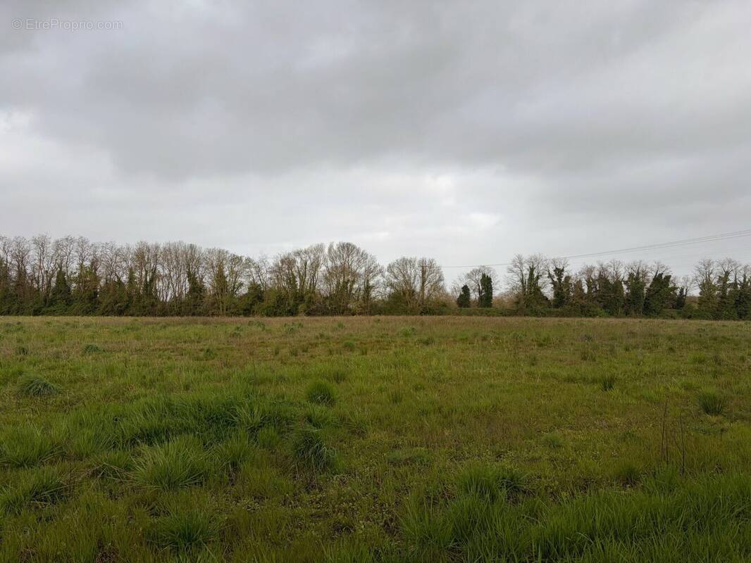 Terrain à LA ROCHELLE