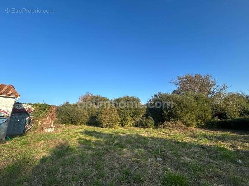 Terrain à SAINT-GEORGES-D'OLERON