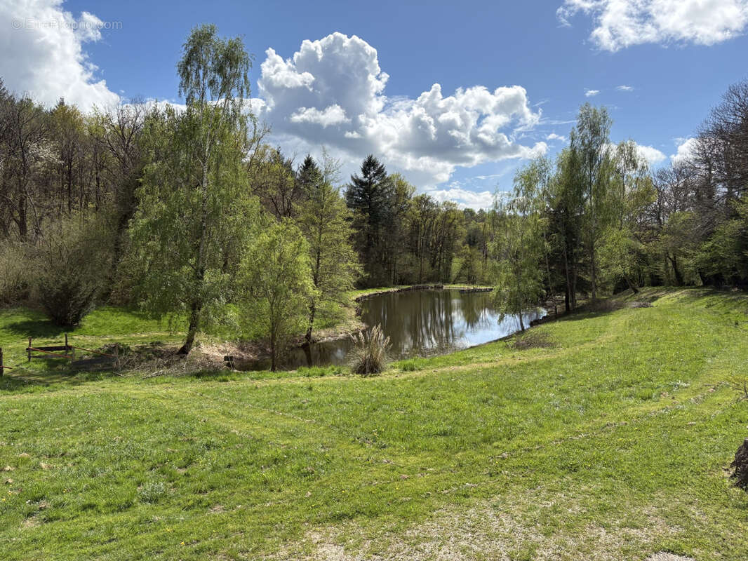 Château Chervix maison de 4 pièces, étang, bois et 3,36 ha sans voisinage - photo 4