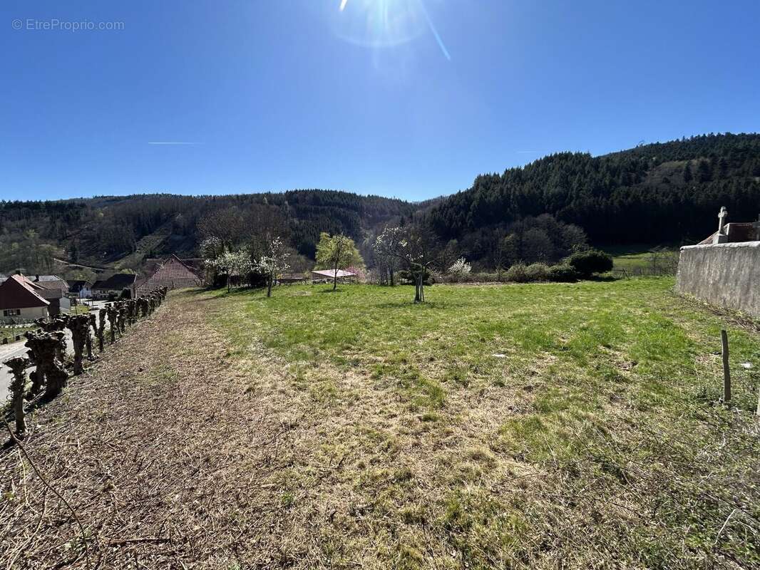 Terrain à STEIGE