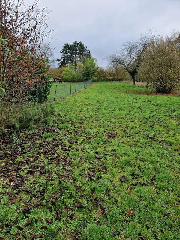 Maison à NOUVION-LE-VINEUX