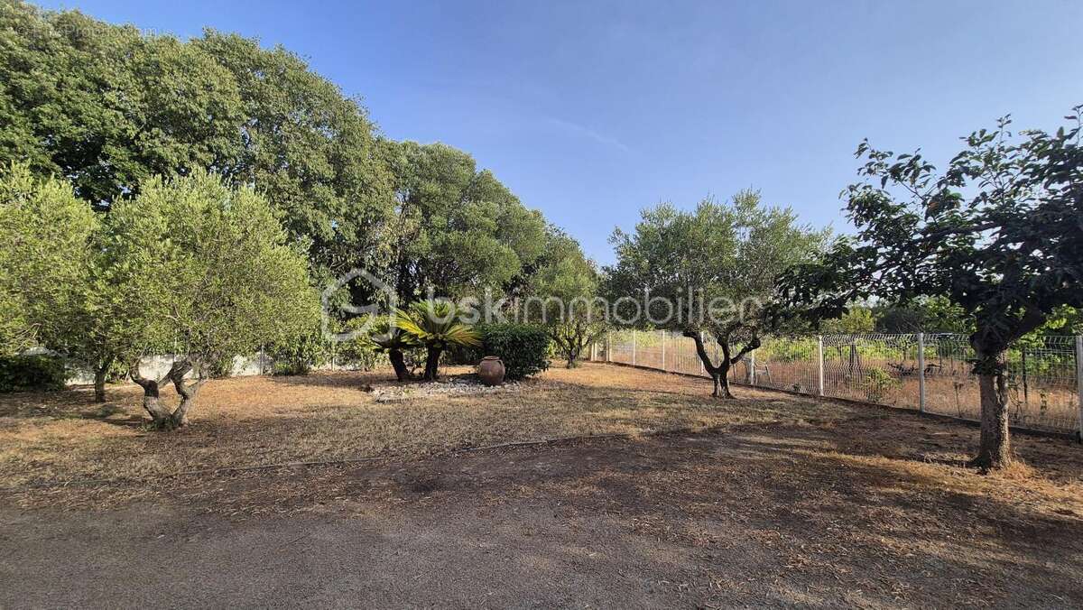 A vendre propriete mas de 170m² sur terrain de 12944m² cloture - le boulou - six chambres - climatisation reversible - garage -  - photo 21