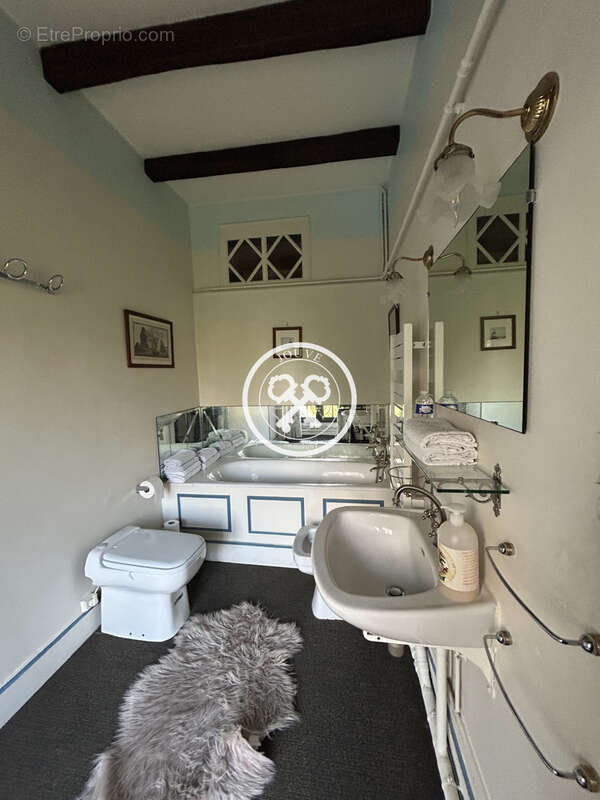 Manoir secteur bar-sur-aube - photo 33