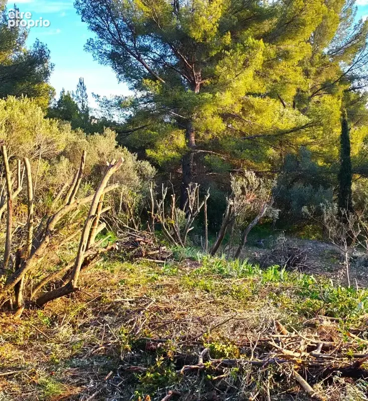 Terrain 442 m² à vendre à Toulon (83200) - photo 5